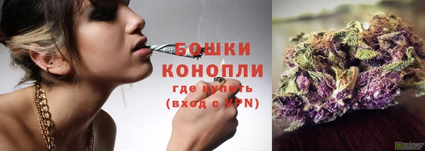 мдпв Верея