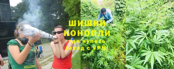 мдпв Верея