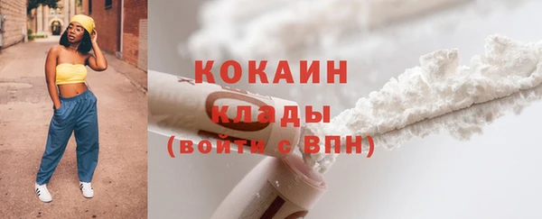 мдпв Верея