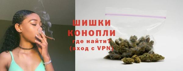 мдпв Верея