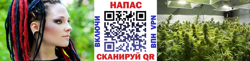 продажа наркотиков Ростов Конопля MAZAR